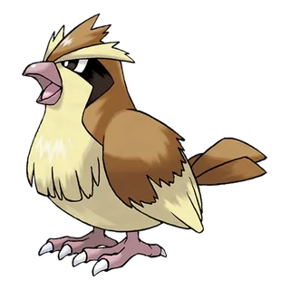 ภาพของ Pidgey