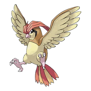 ภาพของ Pidgeotto