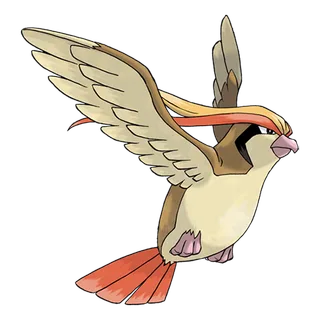 ภาพของ Pidgeot