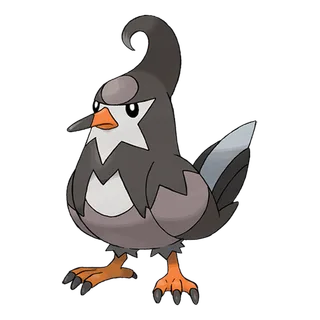 ภาพของ Staravia
